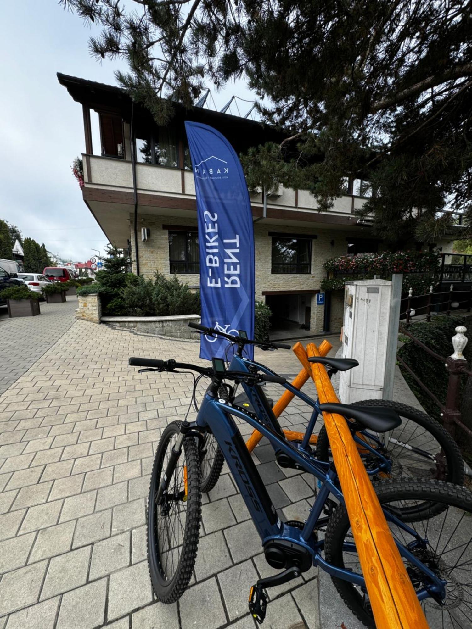 Kaban Boutique - 5Star Central Villa In Vatra Dornei Eksteriør billede